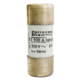 Ferraz Shawmut E218205 500v 100a 500v