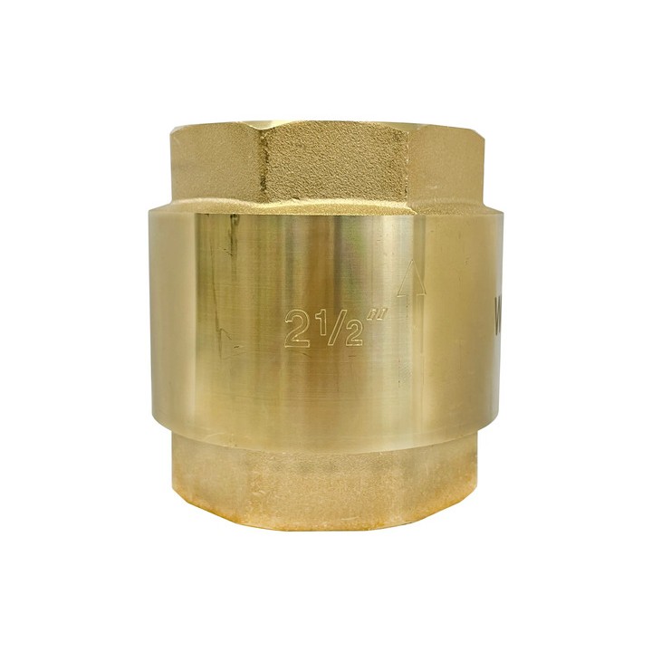Válvula De Retenção Vertical 2.1/2'' Polegadas Bronze Latão