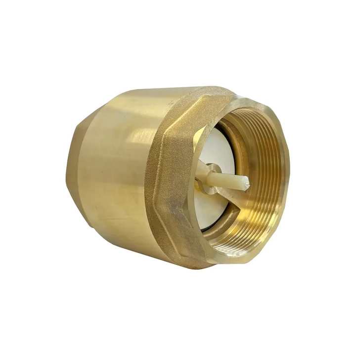 Válvula De Retenção Vertical 2.1/2'' Polegadas Bronze Latão