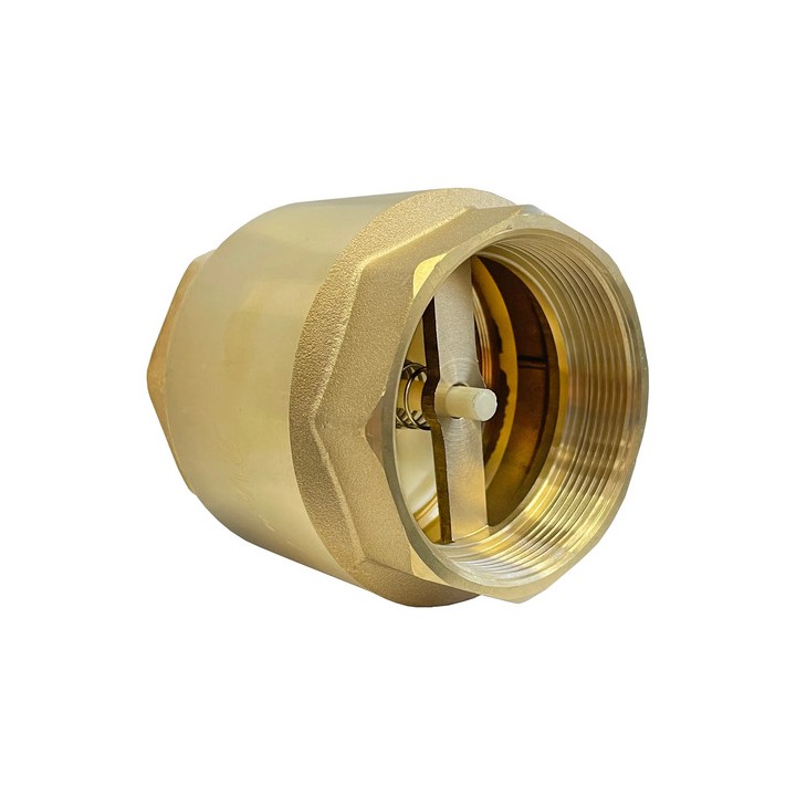 Válvula De Retenção Vertical 2.1/2'' Polegadas Bronze Latão
