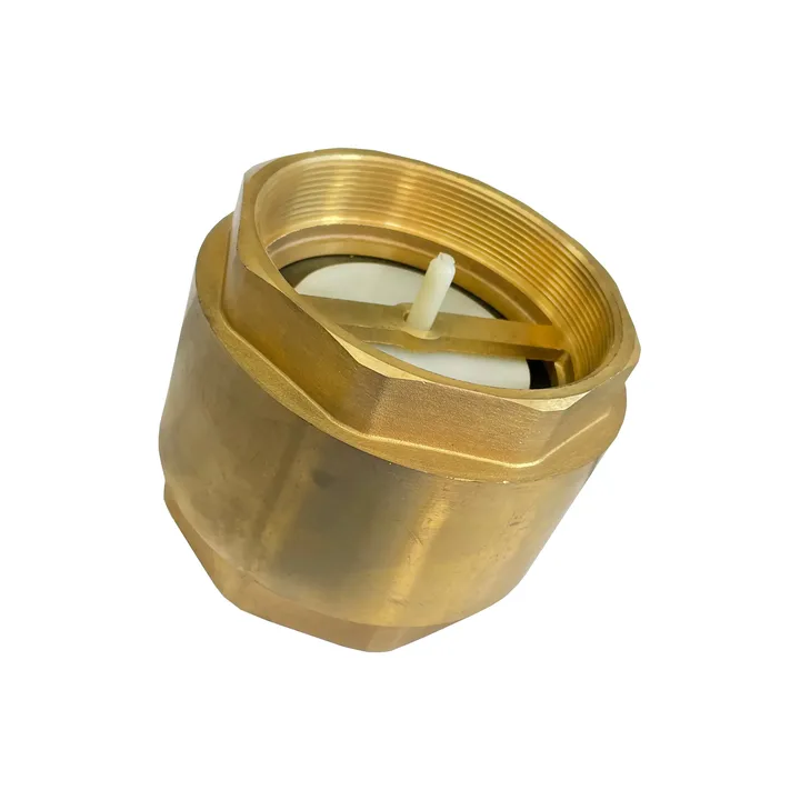 Válvula De Retenção Vertical 2'' Polegadas Bronze Latão